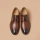 Waxing Pointed Toe Derby Brown Shoes for Men